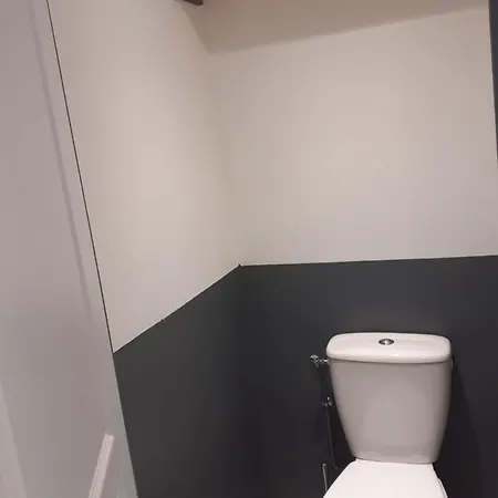 Entier 4 Personnes Sur Saone Appartement *